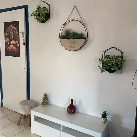 Zen * Перпиньан