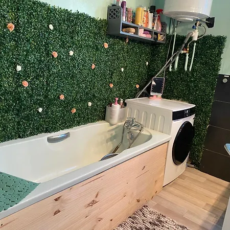 Zen Проживание в семье