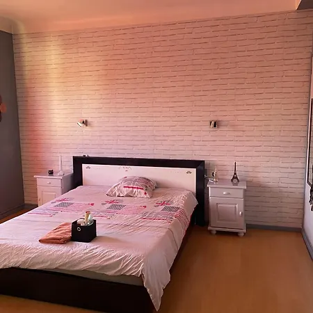 Проживание в семье Zen Перпиньан